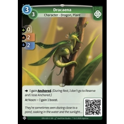 Dracaena