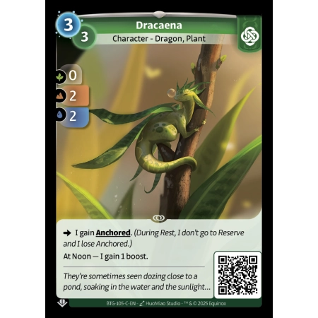 Dracaena