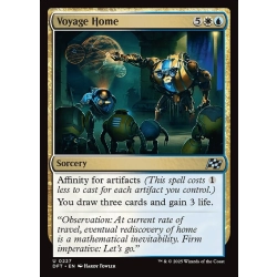 Voyage Home
