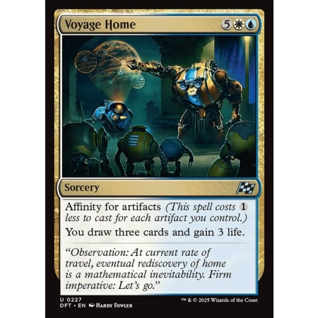 Voyage Home