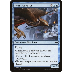 Aven Surveyor
