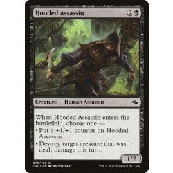 Hooded Assassin