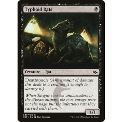 Typhoid Rats