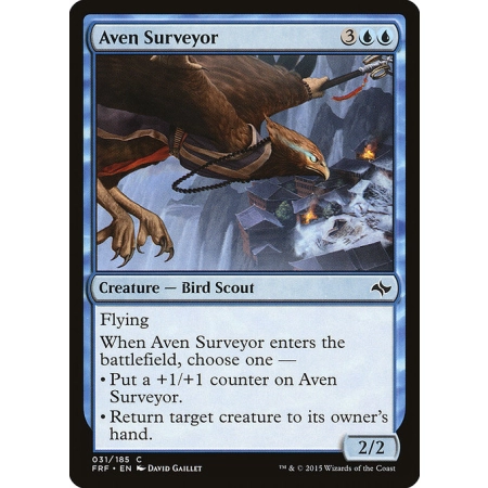 Aven Surveyor