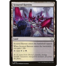 Scoured Barrens