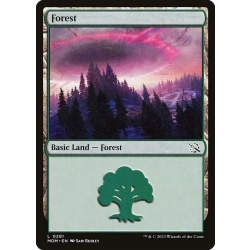 Forest