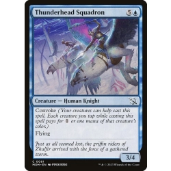 Thunderhead Squadron