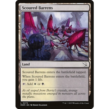 Scoured Barrens