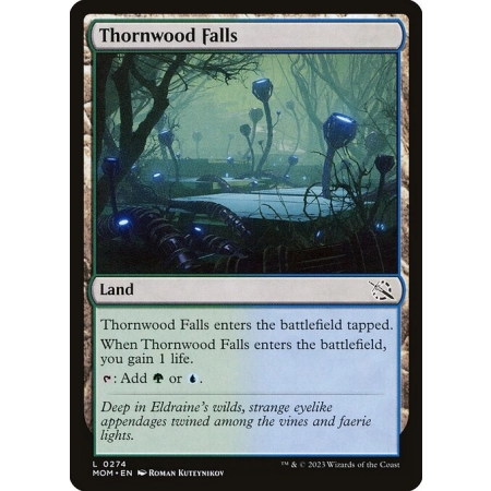 Thornwood Falls