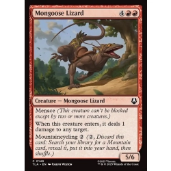 Mongoose Lizard