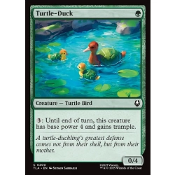 Turtle-Duck