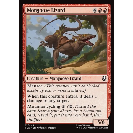 Mongoose Lizard