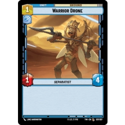 Warrior Drone