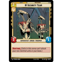 B1 Security Team