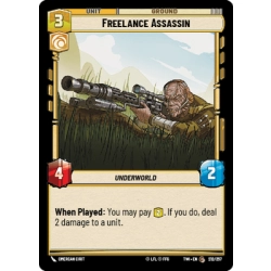 Freelance Assassin