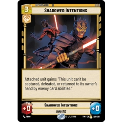 Shadowed Intentions