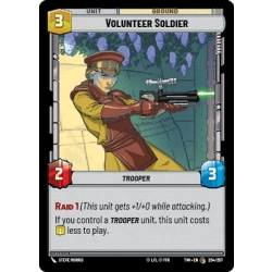 Volunteer Soldier